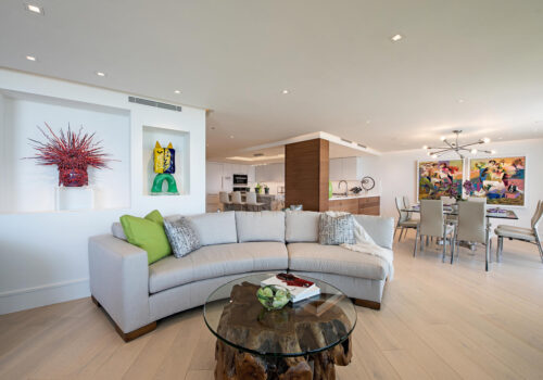 Project Images 03282019-large-007-17-LivingView2-1499x1000-72dpi